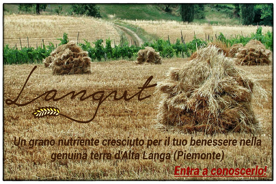 foto presentazione langut.it - clicca ed entra a conoscerci
