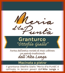 Grano Langut (grano duro Khorasan)
